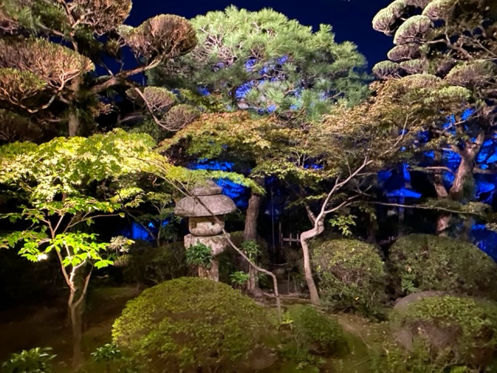 永寿院の風景11